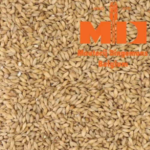 Dingemans Pilsen MD 3EBC 20kg mout