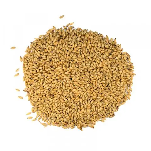 Dingemans Cara 20 MD 20EBC 250gram mout - Afbeelding 3
