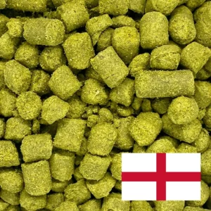 East Kent Goldings ENG hopkorrel 100 g hop pellets