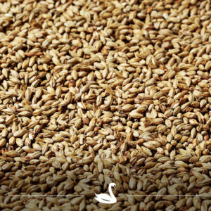 Swaen© Munich Light 12-15 EBC 1 kg mout