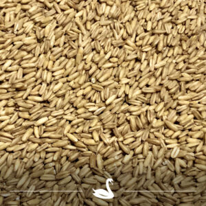 Swaen© Naked Oat 3-4,5 EBC 1 kg mout