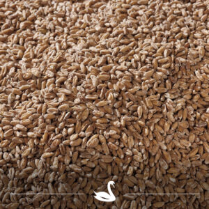 Swaen© Spelt 3-7 EBC 1 kg speltmout